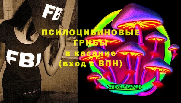 ПСИЛОЦИБИНОВЫЕ ГРИБЫ Арсеньев