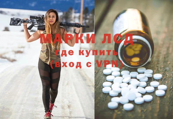ПСИЛОЦИБИНОВЫЕ ГРИБЫ Арсеньев
